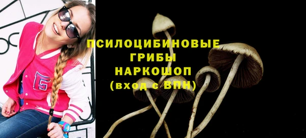 прущие крисы Мегион