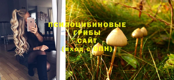 прущие крисы Мегион