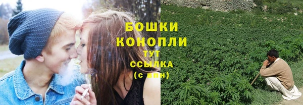 прущие крисы Мегион