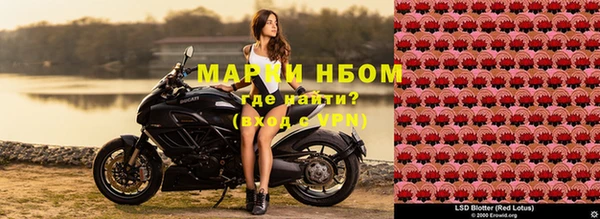 прущие крисы Мегион
