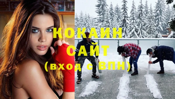 mix Богородицк