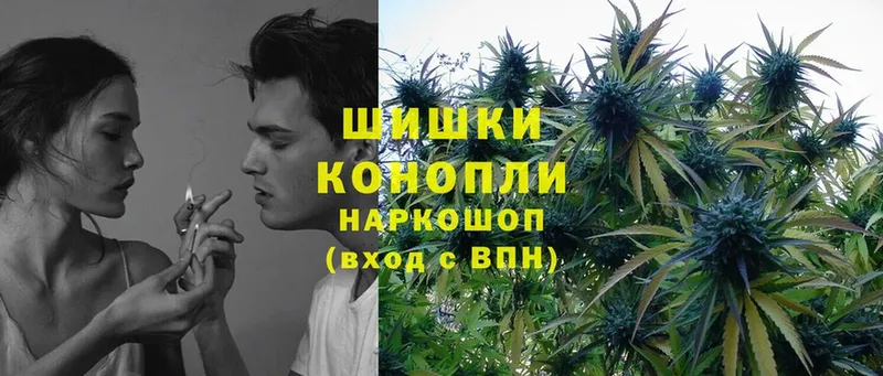 Конопля OG Kush  darknet какой сайт  Гаврилов Посад 